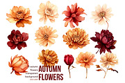 Autumn Dragons Clipart Set PNG, a Decorative Illustration by Floraphoria (Thumbnail 3 of 9)