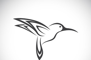 Vector Of Hummingbird Design. Birds.