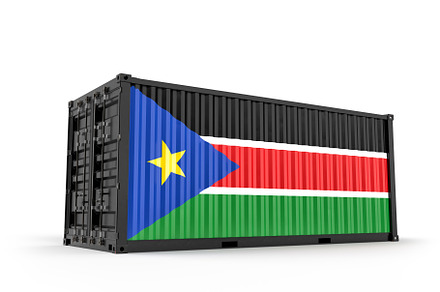 Container with flag of South Sudan