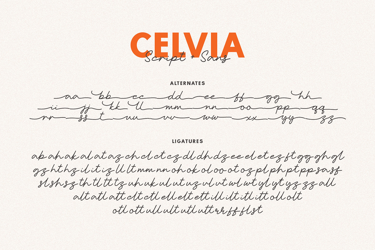 Celvia – Elegant Script & Sans Font, a Sans Serif Font by Hasbi Creative (Photo 10 of 10)