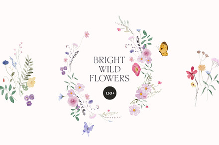 BRIGHT Watercolor Wildflowers, a Decorative Illustration by Lana Elanor