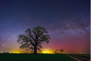 Oak tree with a Milky way galaxy, a Nature Photo by Lukas Jonaitis SHOP