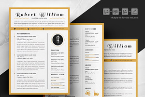 Vibrant Professional CV