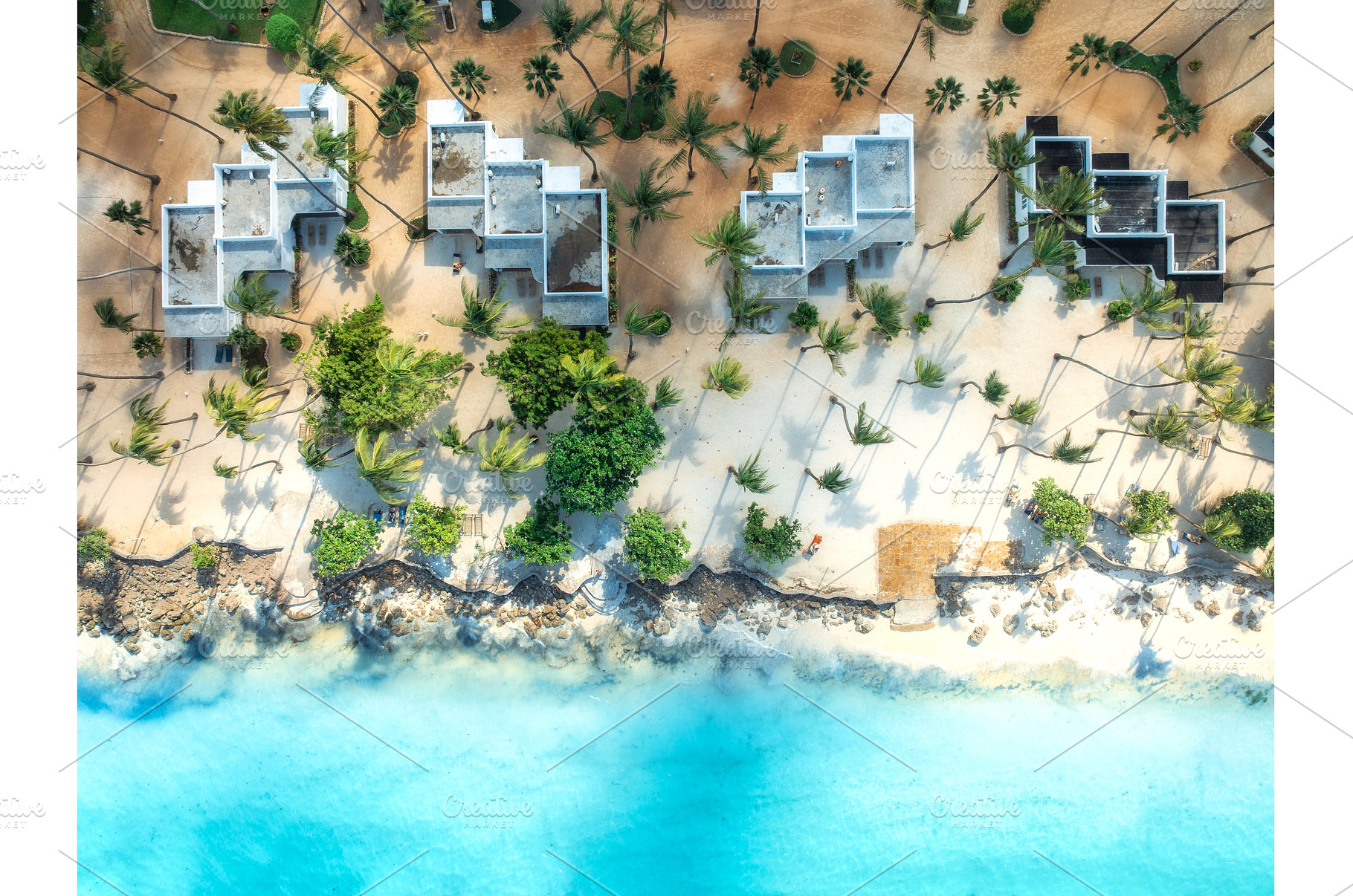 Aerial view of palm trees, umbrellas, a Nature Photo by den-belitsky