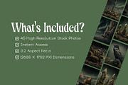 30 Nordic Fantasy Backgrounds, a Decorative Illustration by Incomelion (Thumbnail 5 of 13)