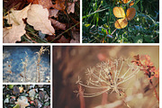 Autumn nature photography set, a Nature Photo by pictures for you (Thumbnail 9 of 22)