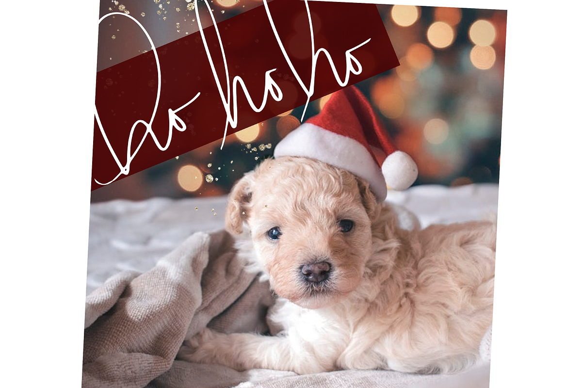 Christmas Phrases - Overlays Font preview 7