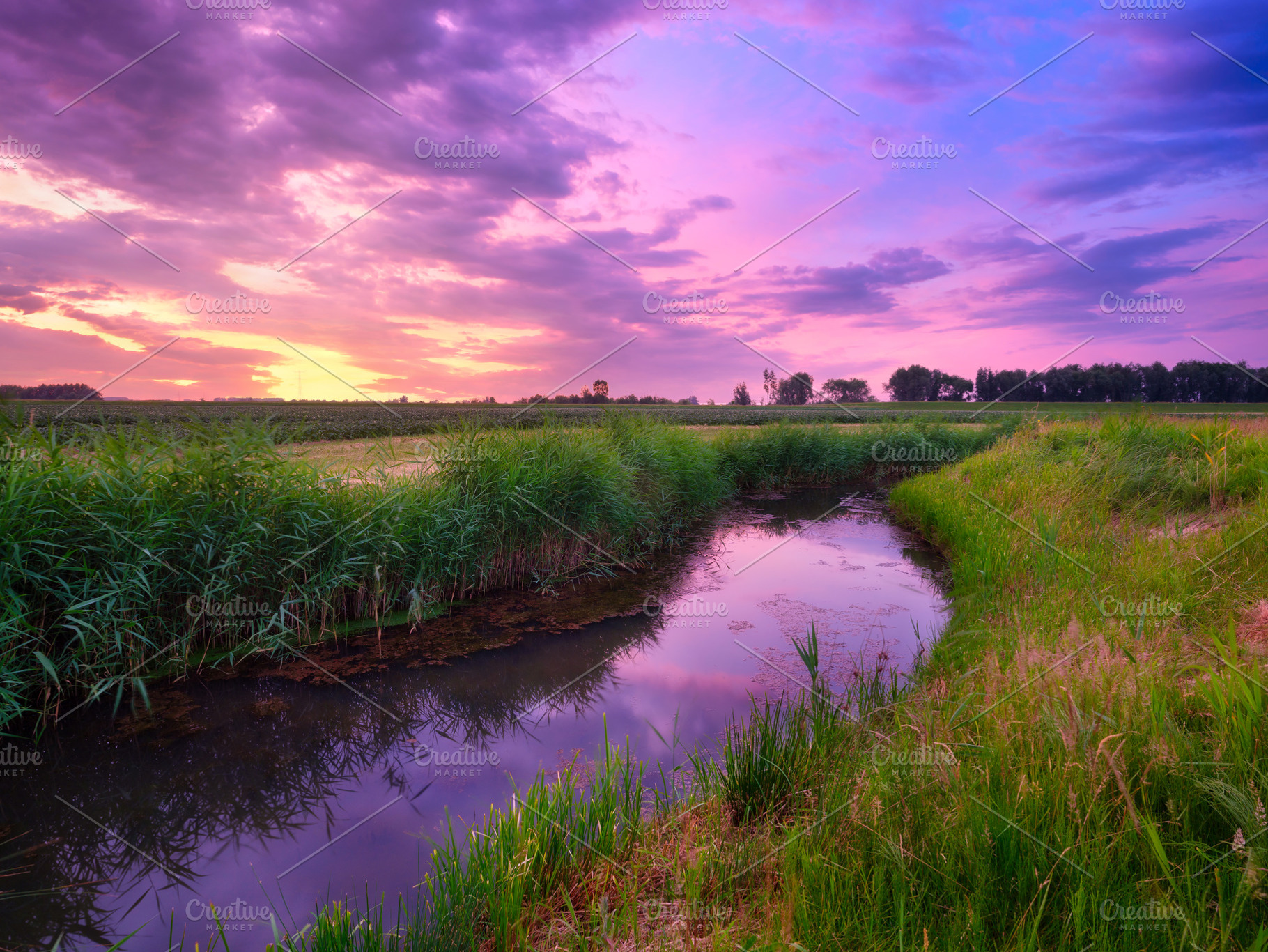 Nature., a Nature Photo by Landscape and travel