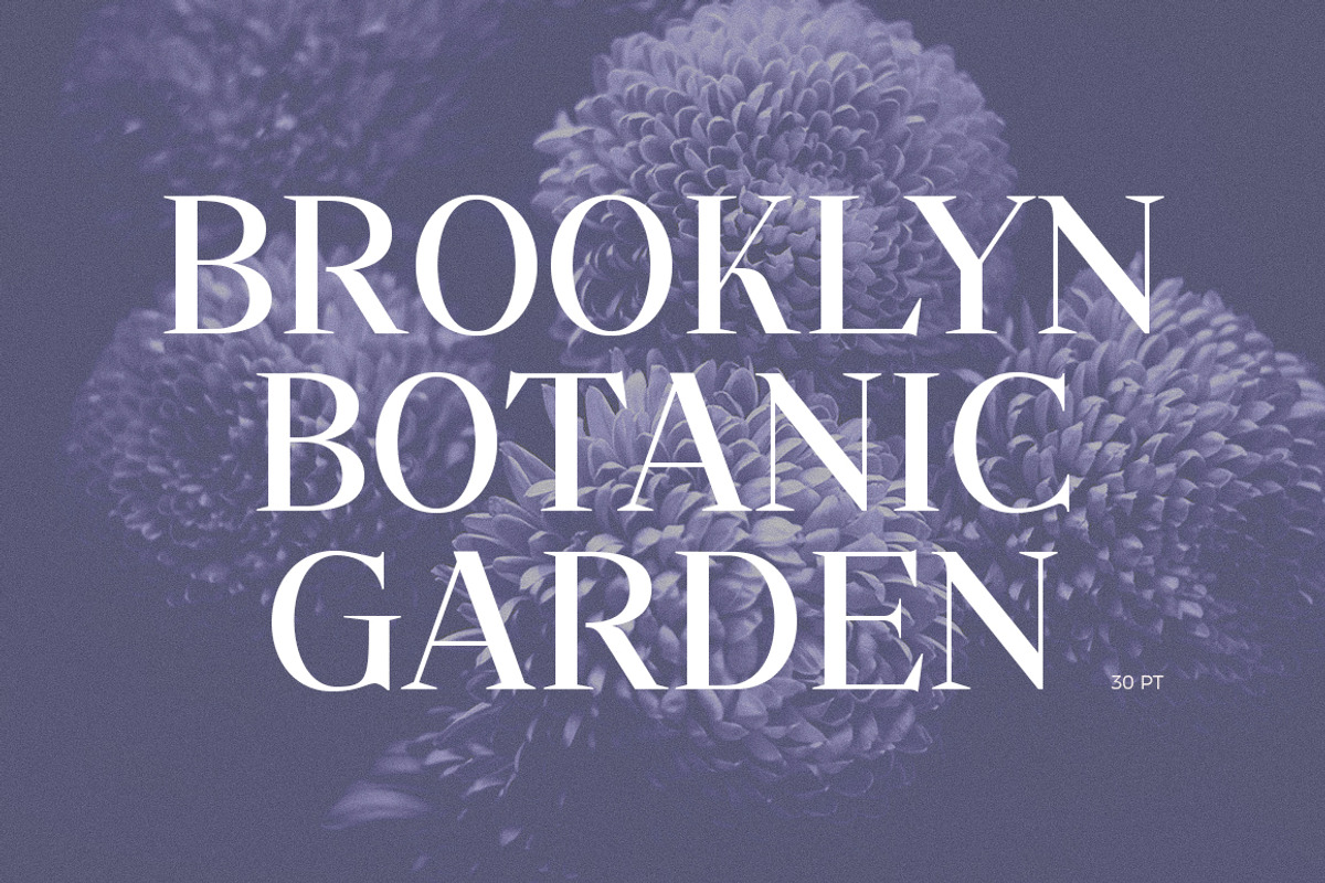 Savinder, a Serif Font by Dora Typefoundry (Photo 7 of 13)