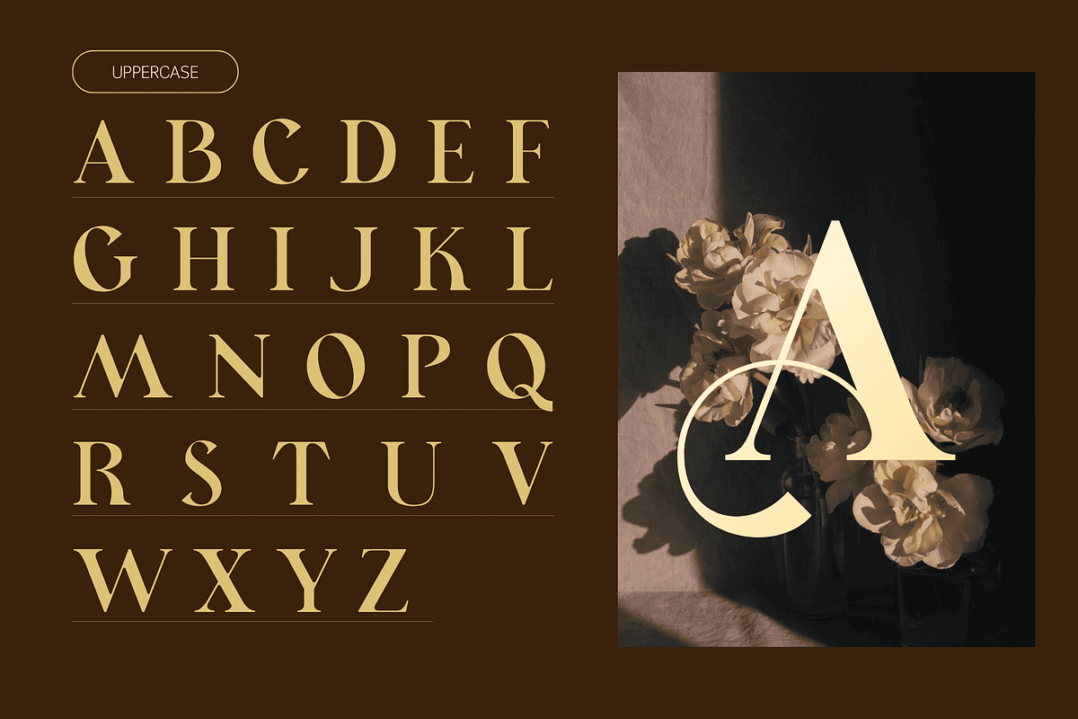 Lavero - Modern Ligatures Font, a Serif Font by Nirmana Visual (Photo 2 of 8)