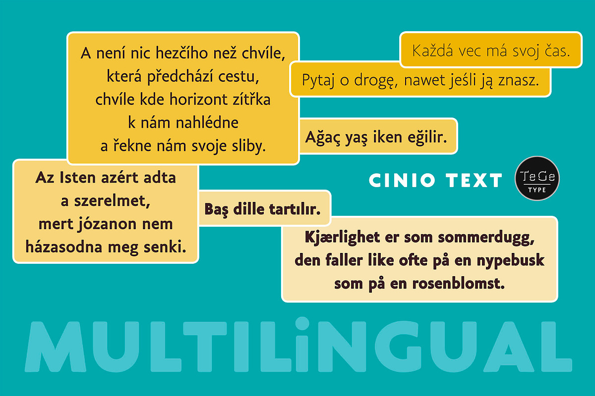 Cinio Text, a Sans Serif Font by TeGeType foundry (Photo 7 of 7)