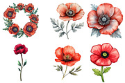 Poppy Flower Watercolor Cliparts, an Illustration by Watercolor design (Thumbnail 4 of 4)