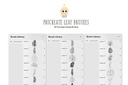 36 Leaf Procreate Stamp Brush, a Brush Add-On by Natalya_Mona_Art (Thumbnail 2 of 9)