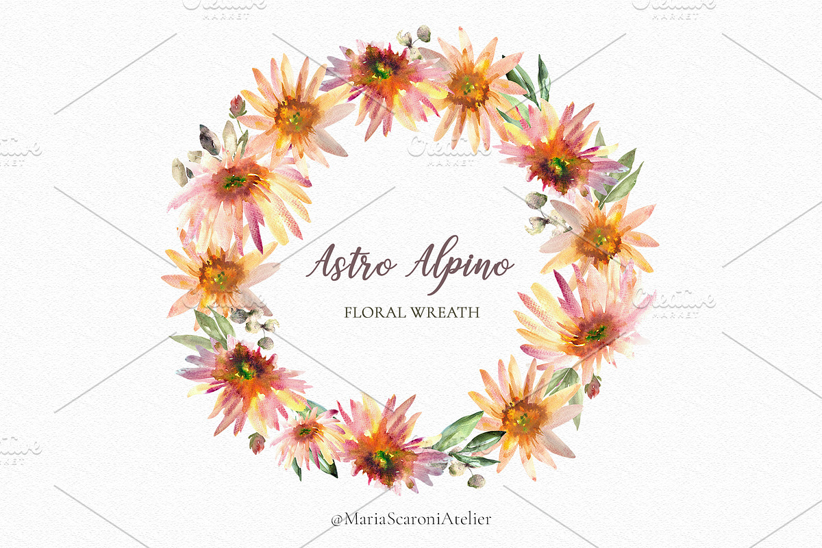 Astro Alpino - Watercolor Flowers, a Decorative Illustration by MariaScaroniAtelier (Photo 3 of 7)