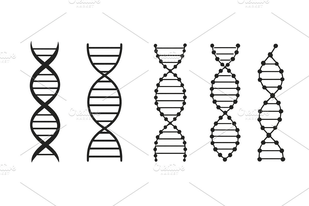 Different styles of DNA structures, an Illustration by ZinetroN