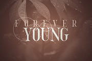 Golden Bird Serif font + Cool Extras, a Serif Font by VP Fonts (Thumbnail 3 of 13)