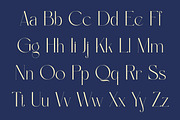 Diemha - Elegant Serif Font, a Serif Font by Muflieart (Thumbnail 3 of 10)