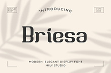 Briesa - Modern Elegant Display Font