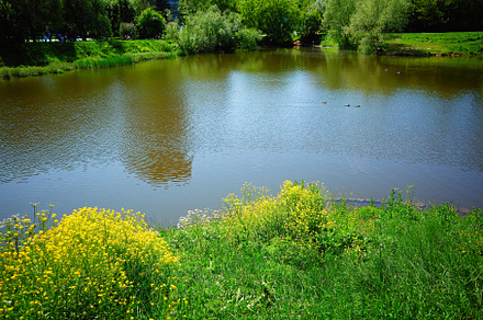 Banks of summer river landscape background, a Nature Photo by RETROWAVE '88
