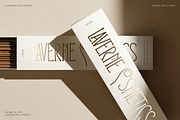 Reina Sofia - Vintage Display Serif, a Serif Font by SilverStag Type Foundry (Thumbnail 4 of 30)