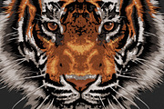 FIGHTER - Tiger vector illustration, an Animal Illustration by Artistic & Unique (Thumbnail 1 of 17)