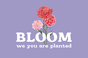 Pink Label: Y2K Groovy Retro Font, a Sans Serif Font by The Gelato Type (Thumbnail 12 of 15)