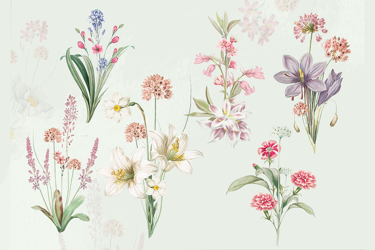 35 Vintage Flowers Collection, an Object Graphic by EvitePapery (Photo 3 of 7)