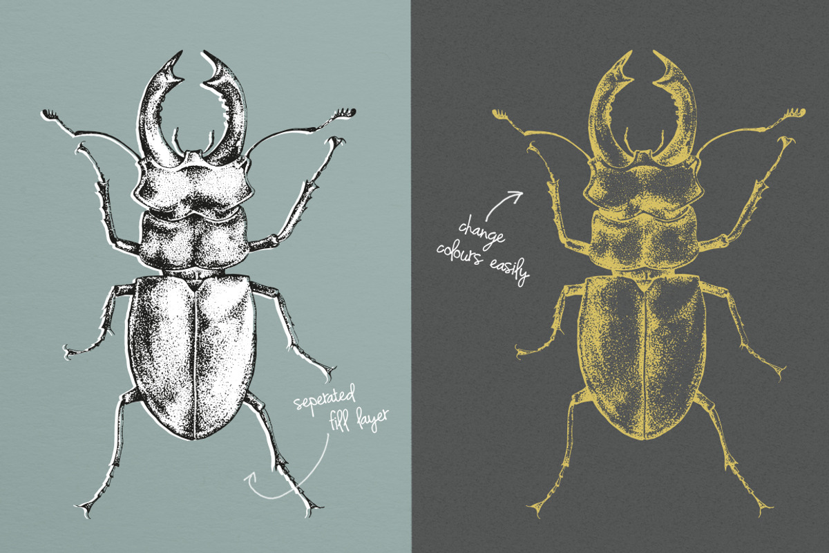 Dotwork Vector Insects, an Animal Illustration by nordicworker (Photo 4 of 5)