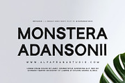 Ontario - Rough Sans Font, a Sans Serif Font by Alpaprana (Thumbnail 3 of 10)