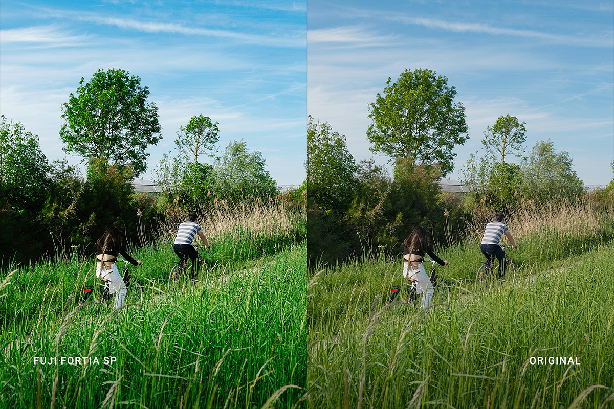 Fuji Fortia SP, a Preset Add-On by colorituals (Photo 7 of 9)