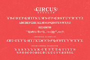 The Circus Display Font, a Handwritten Font by PremiumMockup (Thumbnail 5 of 5)
