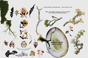 Botanical & Nature Collage Kit, an Object Graphic by Purple (Thumbnail 4 of 11)