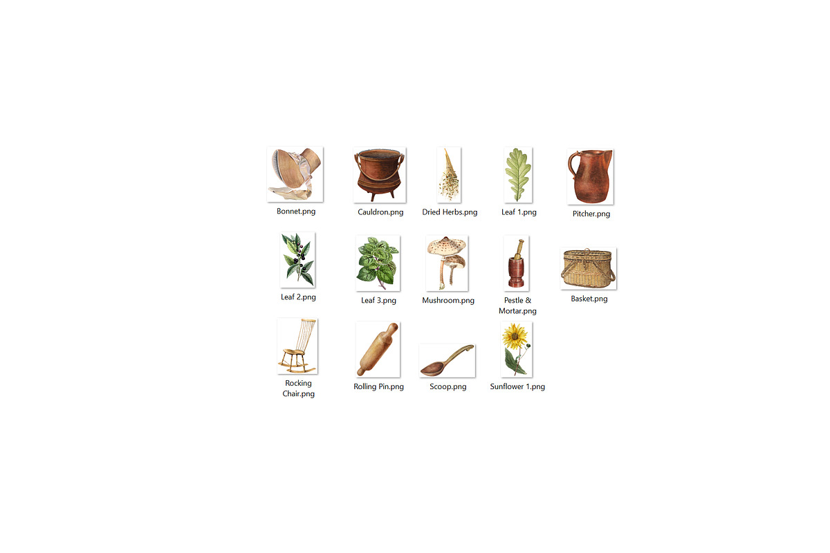 Cottagecore Clipart Set, a Healthcare Illustration by Secret Helper (Photo 7 of 7)