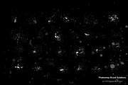 Grunge paint splatter brush set, a Brush Add-On by FOXYdigitalart (Thumbnail 6 of 8)