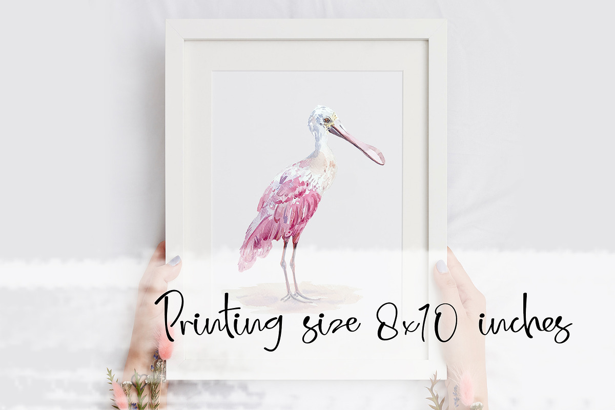 Roseate Spoonbill - Watercolor Print, an Illustration by Tati Bordiu (Photo 3 of 4)