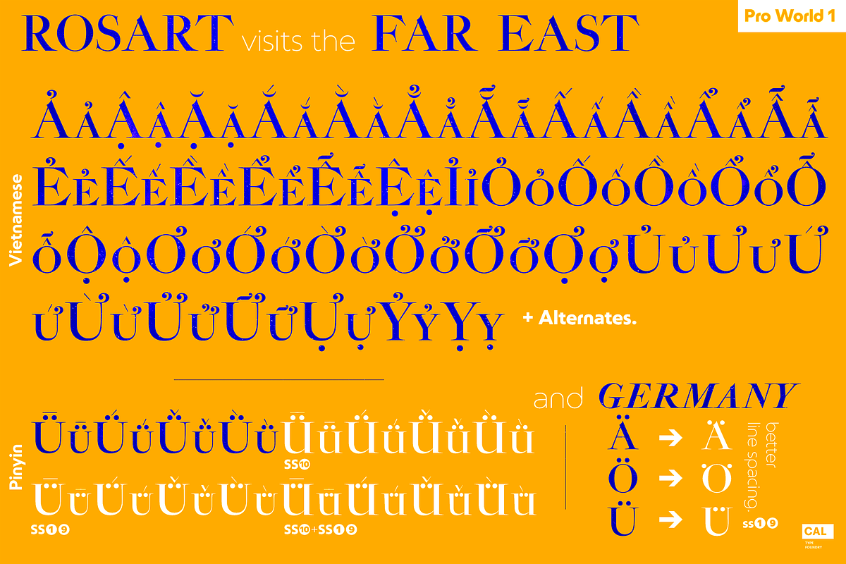 Rosart & Fleisch PRO+Wld1 2FontPack, a Serif Font by California Type Foundry (Photo 6 of 8)