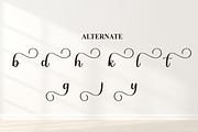 Babylonia | Script Font, a Handwritten Font by Scratchones (Thumbnail 8 of 9)