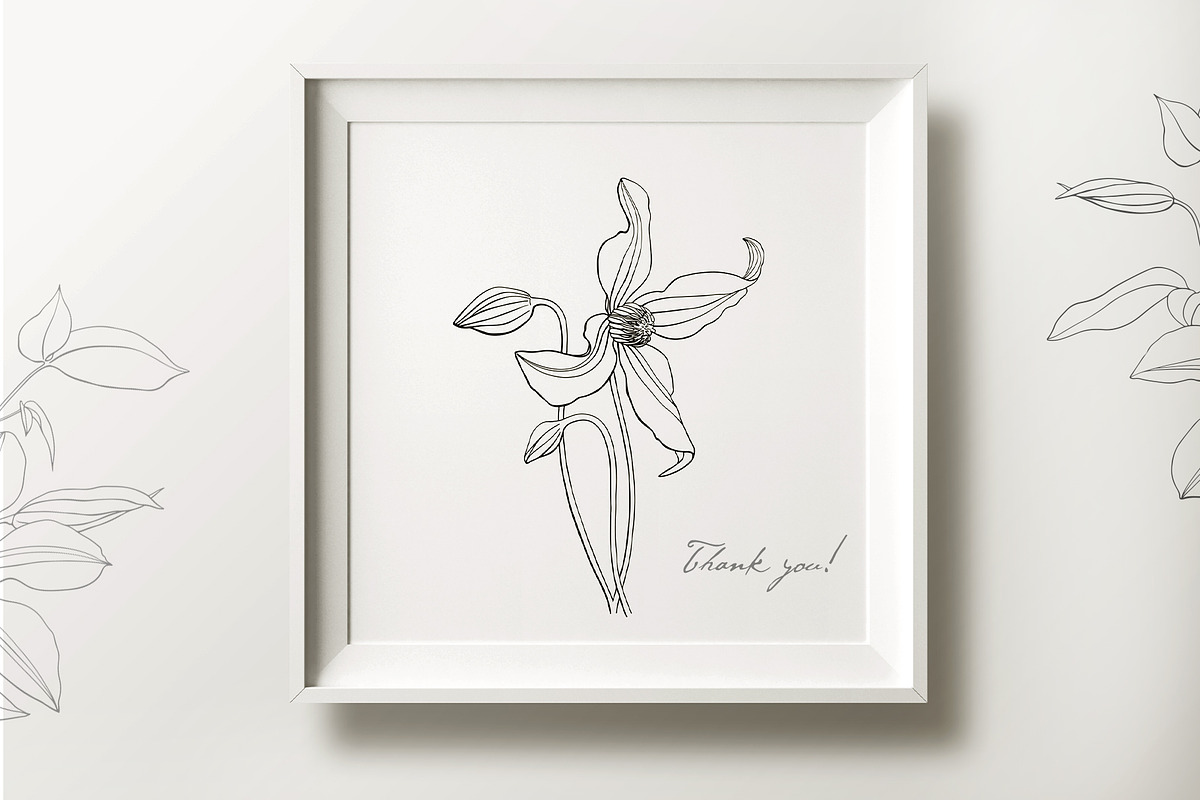 Flowers of Clematis. Botanical Set, a Decorative Illustration by ON_lineart_store (Photo 10 of 10)