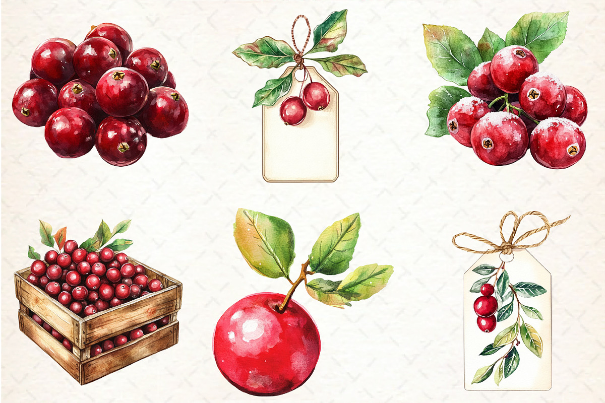 Watercolor Cranberry Clipart, an Illustration by Libby Wishes (Photo 6 of 10)