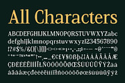 CS Vincero – Contemporary Font, a Serif Font by Craft Supply Co. (Thumbnail 8 of 8)