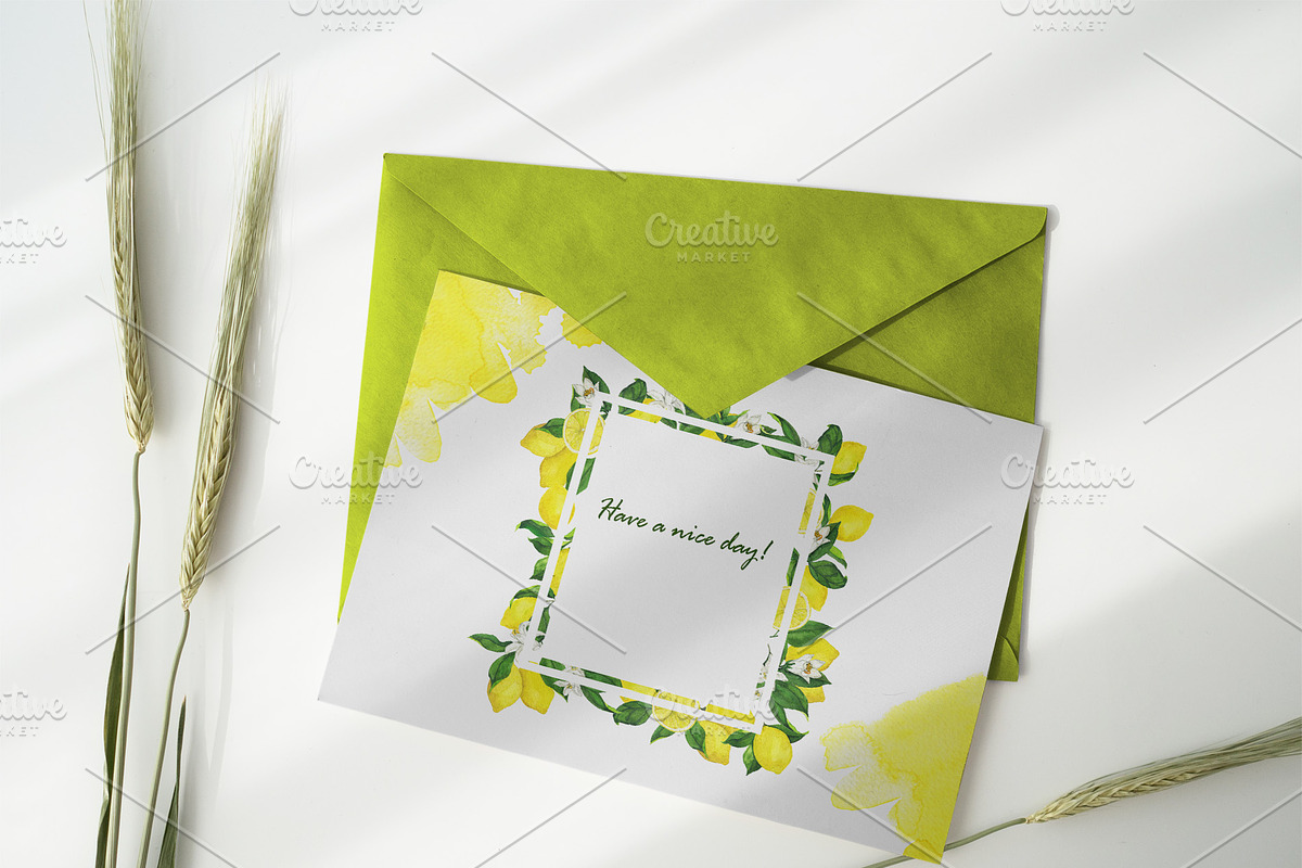 Watercolor citrus collection, a Food Illustration by Watercolor & sketches (Photo 7 of 8)