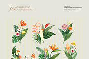 Tropical Summer Flowers, an Illustration by Manimanisa (Thumbnail 7 of 9)