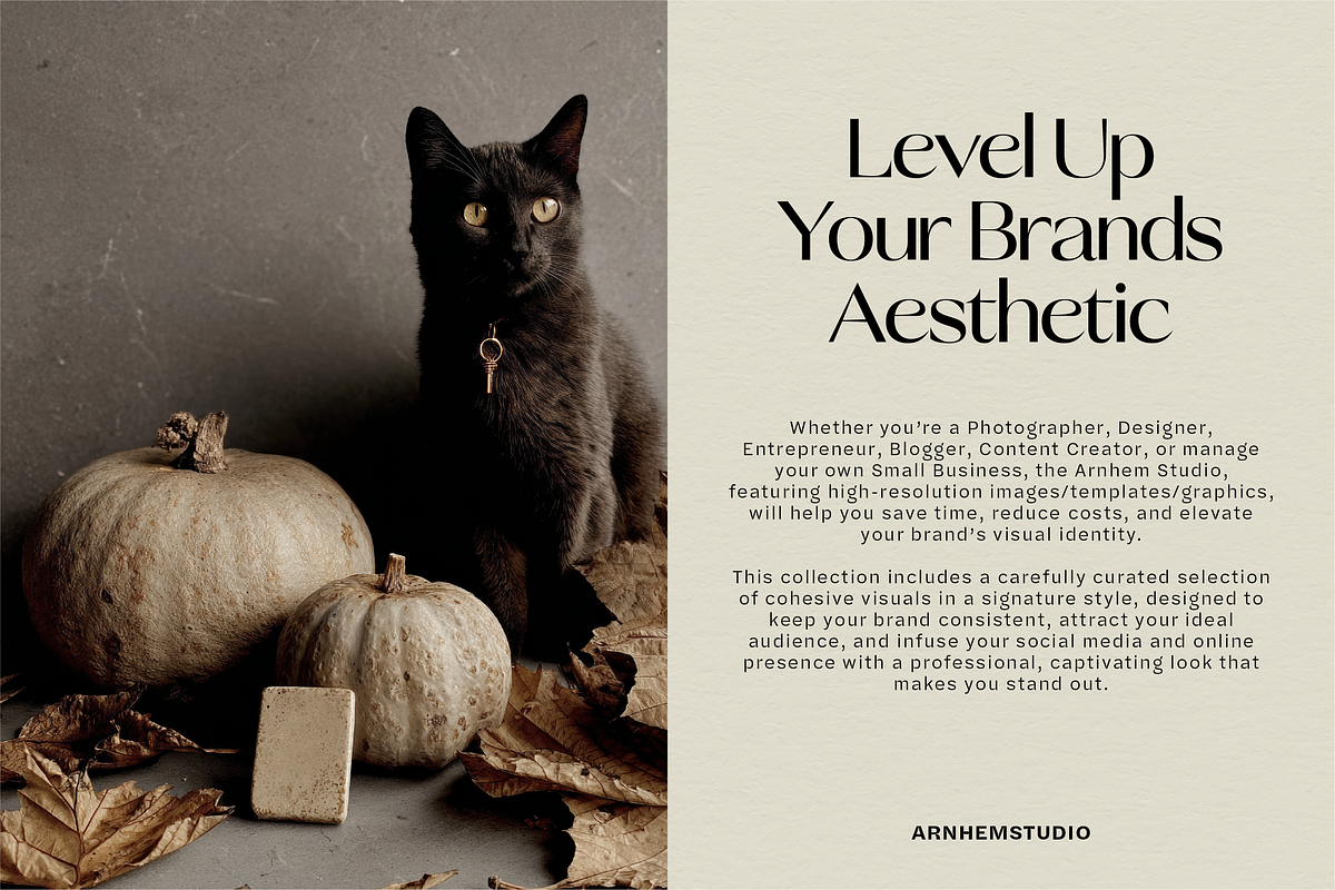 Autumn & Pumpkin Lifestyle vol 1, a Holiday Photo by Arnhem Studio (Photo 4 of 8)