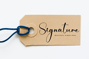 Angelina Decoration | Script Font, a Handwritten Font by Scratchones (Thumbnail 4 of 8)