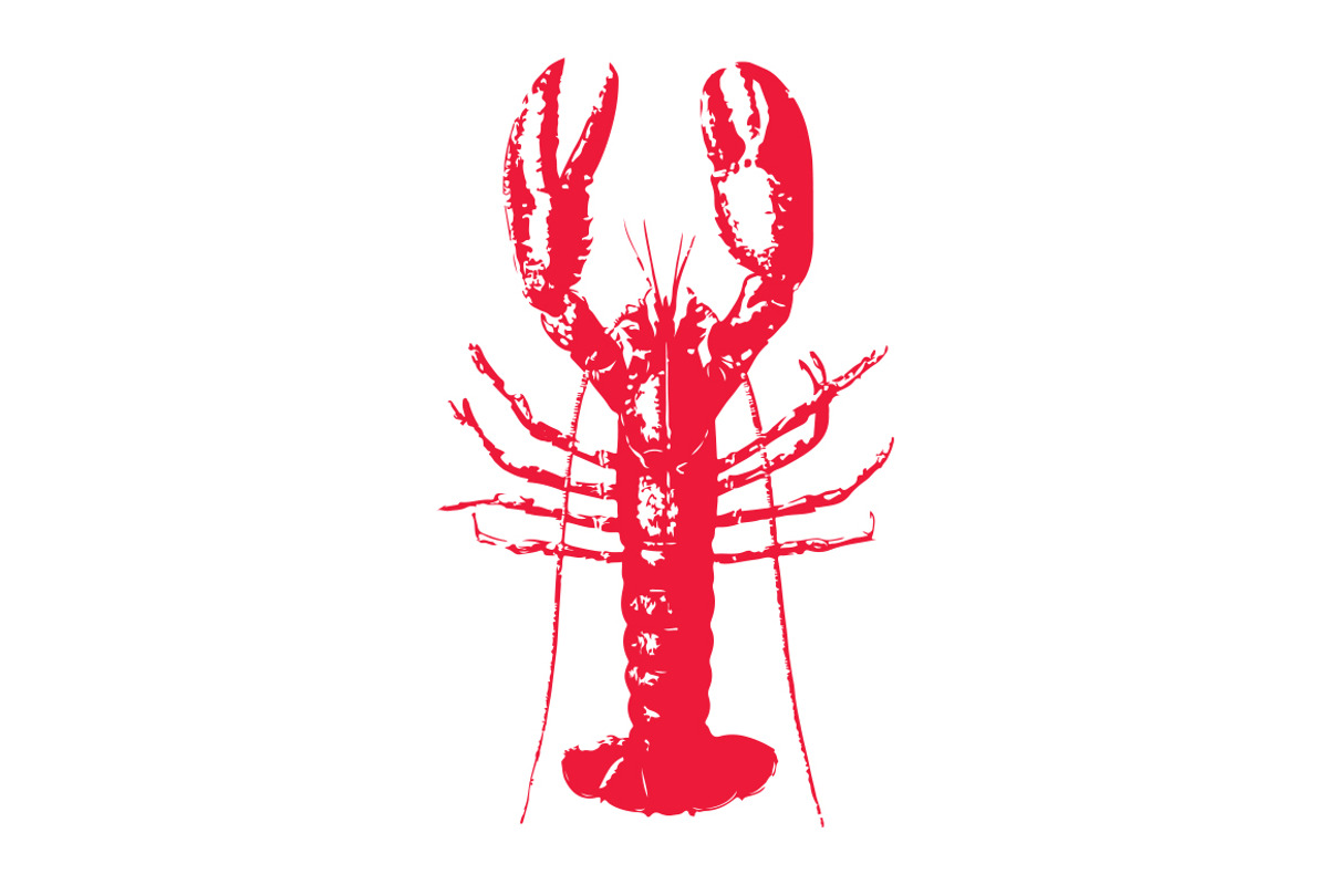 Vector Lobster #2 Illustration, an Illustration by Theresa Barba