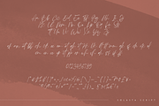 Solasta - organic script font, a Script Font by Only Fonts (Thumbnail 8 of 10)