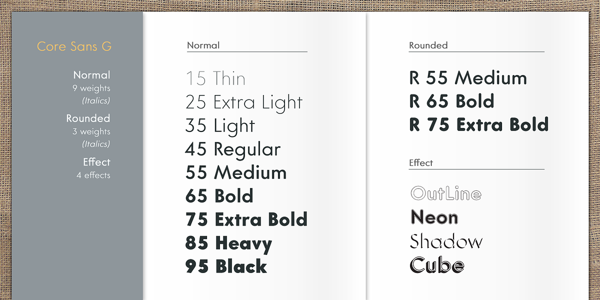 Core Sans G, a Sans Serif Font by S-Core (Photo 3 of 5)