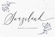 Swaziland Script 25% OFF, a Script Font by Get Studio (Thumbnail 1 of 11)