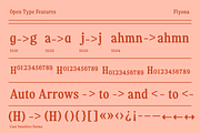 Fiyona Retro Variable Font, a Serif Font by That That Creative (Thumbnail 23 of 24)
