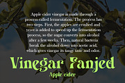Rostema - Unique Display Typeface, a Serif Font by RagamKata (Thumbnail 8 of 11)
